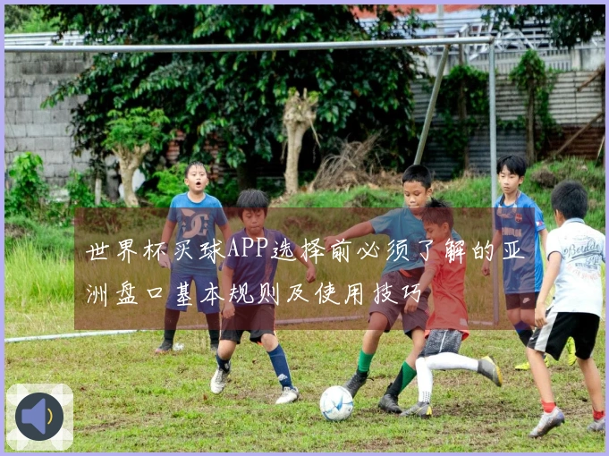 世界杯买球APP选择前必须了解的亚洲盘口基本规则及使用技巧