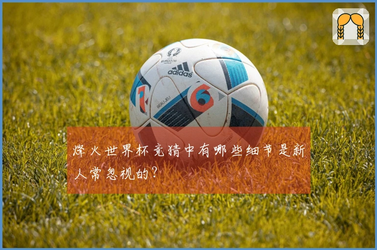 烽火世界杯竞猜中有哪些细节是新人常忽视的？