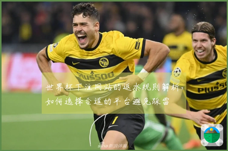 世界杯下注网站的返水规则解析，如何选择合适的平台避免踩雷