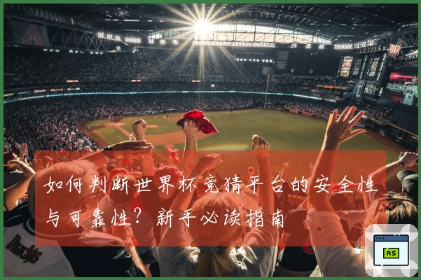 如何判断世界杯竞猜平台的安全性与可靠性？新手必读指南