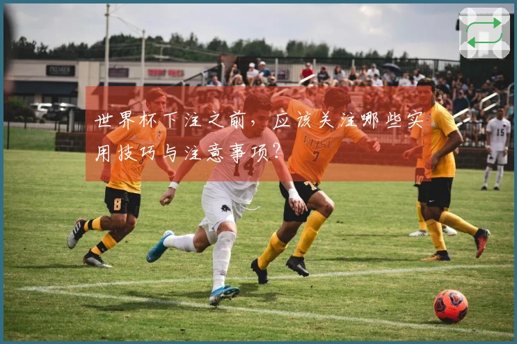 世界杯下注之前，应该关注哪些实用技巧与注意事项？
