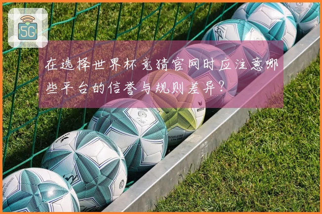 在选择世界杯竞猜官网时应注意哪些平台的信誉与规则差异？