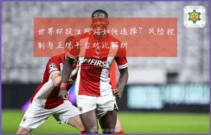 世界杯投注网站如何选择？风险控制与正规平台对比解析