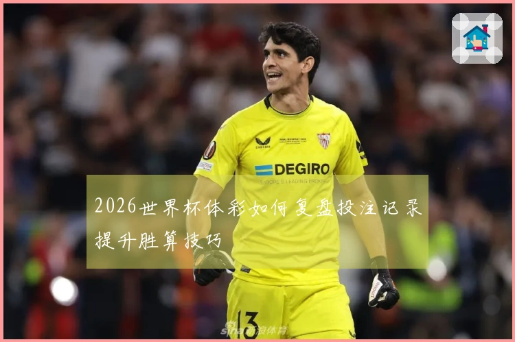 2026世界杯体彩如何复盘投注记录提升胜算技巧