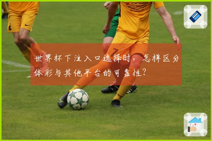 世界杯下注入口选择时，怎样区分体彩与其他平台的可靠性？