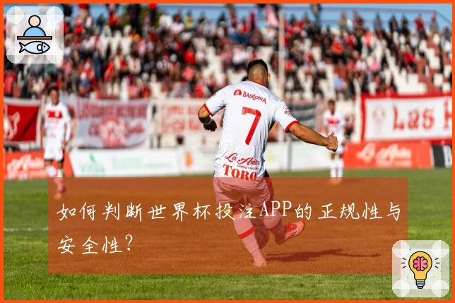 如何判断世界杯投注APP的正规性与安全性？