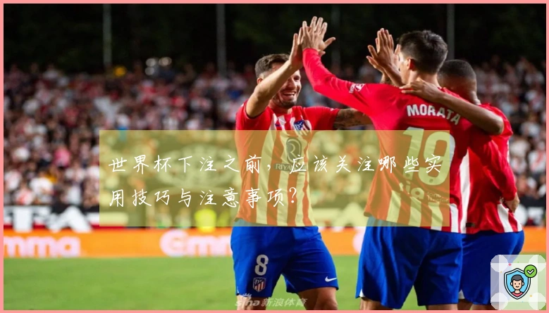 世界杯下注之前，应该关注哪些实用技巧与注意事项？