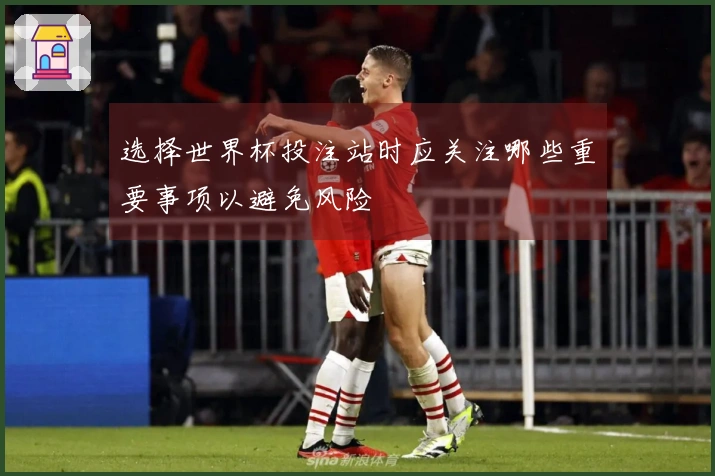 选择世界杯投注站时应关注哪些重要事项以避免风险