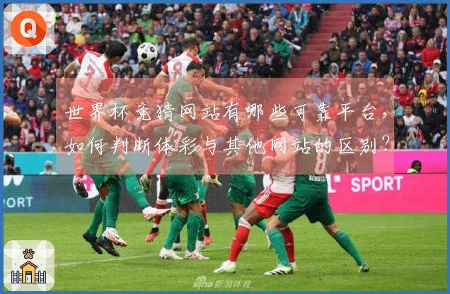 世界杯竞猜网站有哪些可靠平台，如何判断体彩与其他网站的区别？