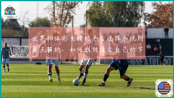 世界杯体彩竞猜的平台选择和规则要点解析，如何找到适合自己的下注途径