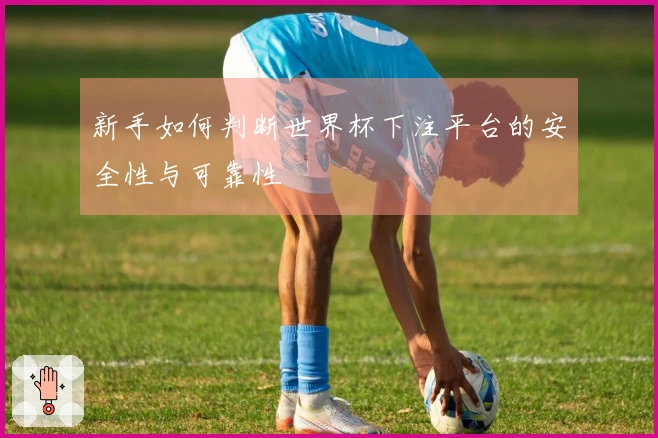新手如何判断世界杯下注平台的安全性与可靠性