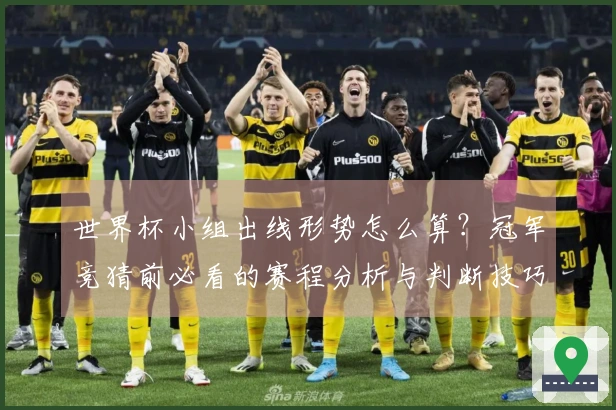 世界杯小组出线形势怎么算？冠军竞猜前必看的赛程分析与判断技巧