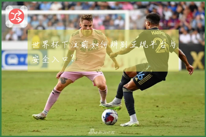 世界杯下注前如何辨别正规平台与安全入口?