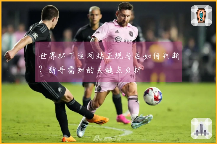 世界杯下注网站正规与否如何判断？新手需知的关键点分析