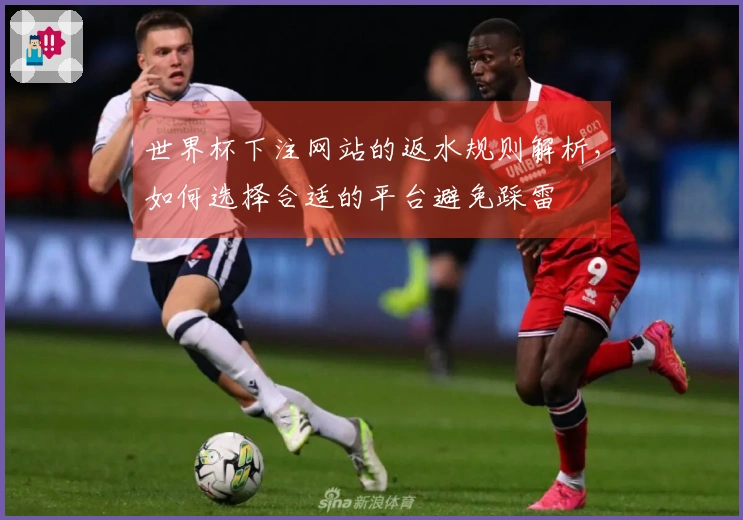 世界杯下注网站的返水规则解析，如何选择合适的平台避免踩雷