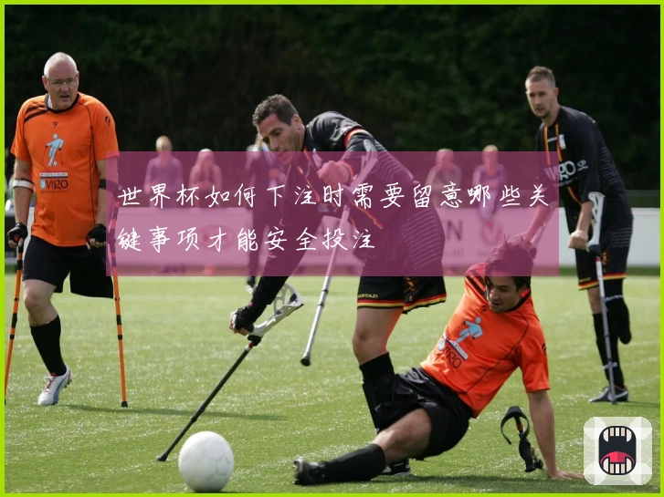 世界杯如何下注时需要留意哪些关键事项才能安全投注