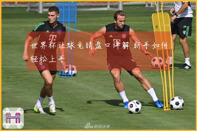 世界杯让球竞猜盘口详解 新手如何轻松上手