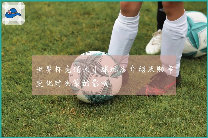 世界杯竞猜大小球玩法介绍及赔率变化对决策的影响