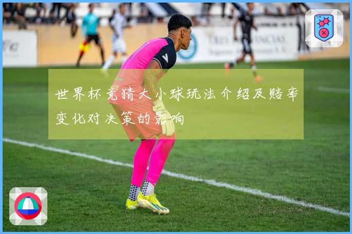 世界杯竞猜大小球玩法介绍及赔率变化对决策的影响