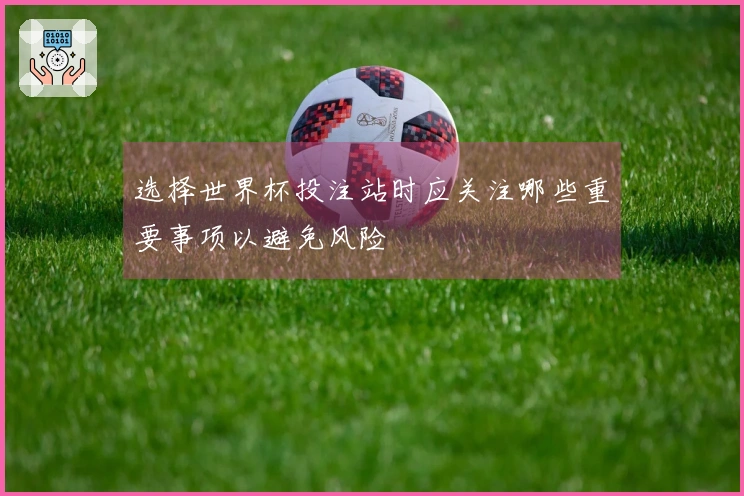 选择世界杯投注站时应关注哪些重要事项以避免风险