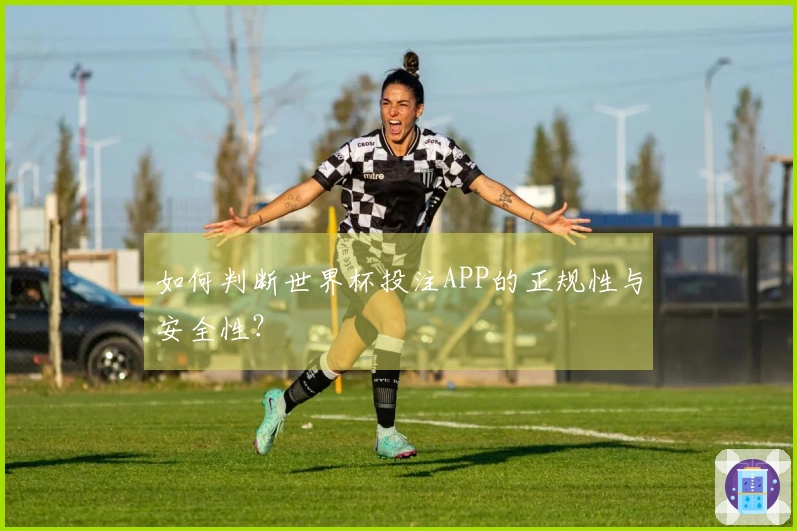 如何判断世界杯投注APP的正规性与安全性？