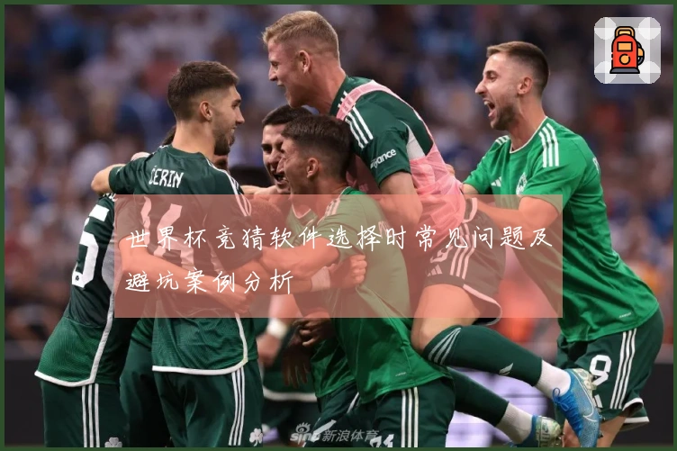 世界杯竞猜软件选择时常见问题及避坑案例分析