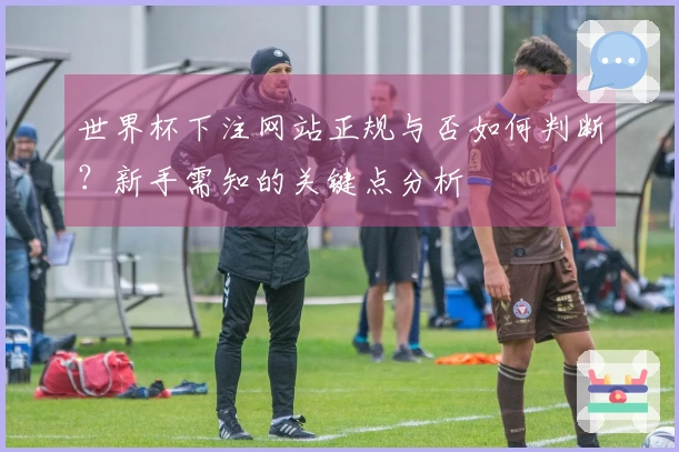 世界杯下注网站正规与否如何判断？新手需知的关键点分析